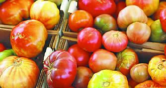 photo of heirloom tomatoes in a basket