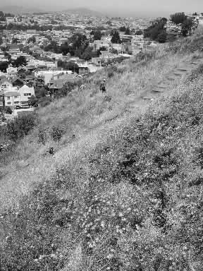 photo of a path through a steep meadow, cityscape in the background
