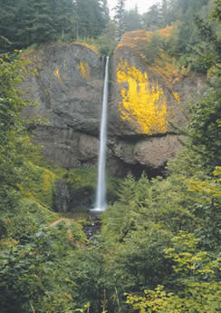 waterfall, www.photos.com