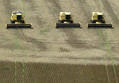 photo of combine harvesters in a large field